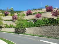 Skyline Ridge Retaining Wall