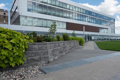 Rooftop Landscaping