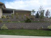 Terraced wall with plantings soften the landscape