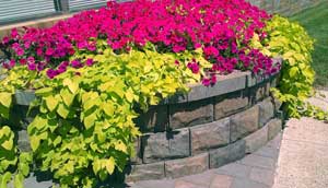 AB Fieldstone retaining wall planter