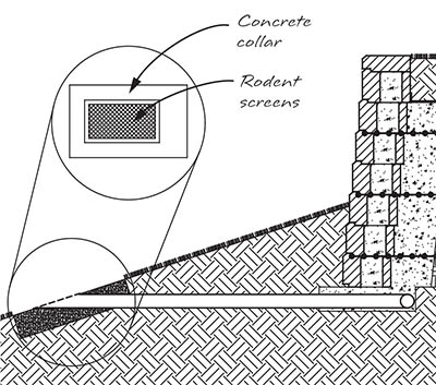 Vent Drain with Pipe Option