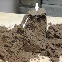 sand castle grid demonstration sand castle grid demonstration