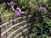 Top retaining wall with plants Top retaining wall with plants