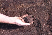 Organic Soils Organic Soils