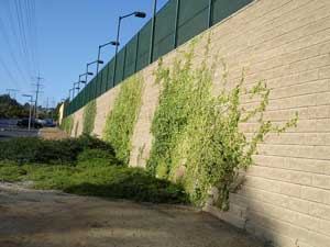 Retaining Wall with AB Collection Retaining Wall with AB Collection