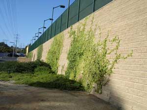 Retaining Wall with AB Collection